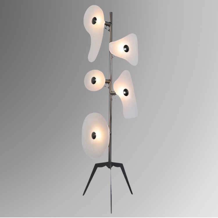Paloma (67")
