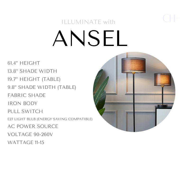 Ansel (61" / 19.7")